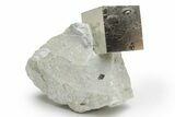 Natural Pyrite Cube In Rock - Navajun, Spain #218999-1